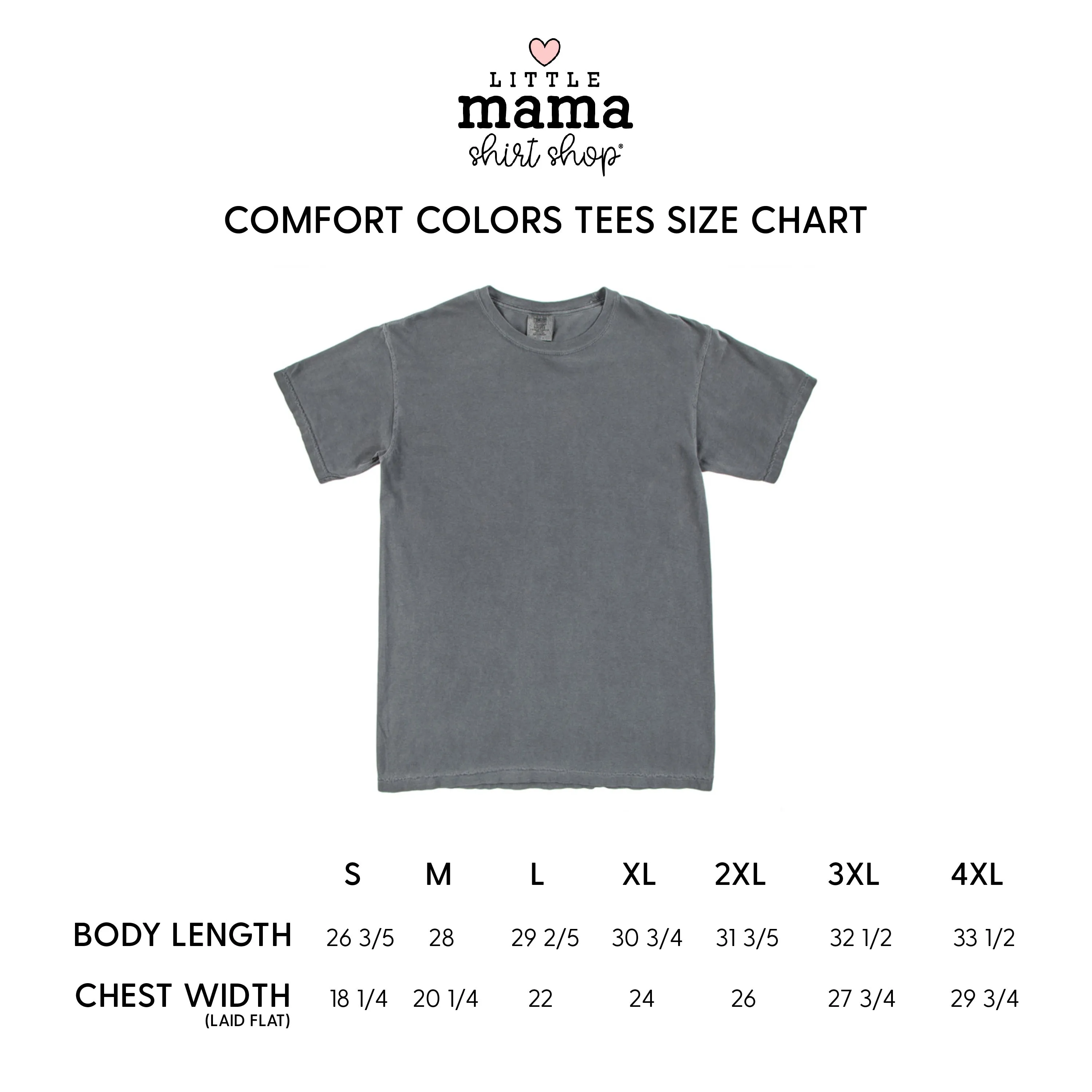 BASEBALL BUDDIES - SHORT SLEEVE COMFORT COLORS TEE