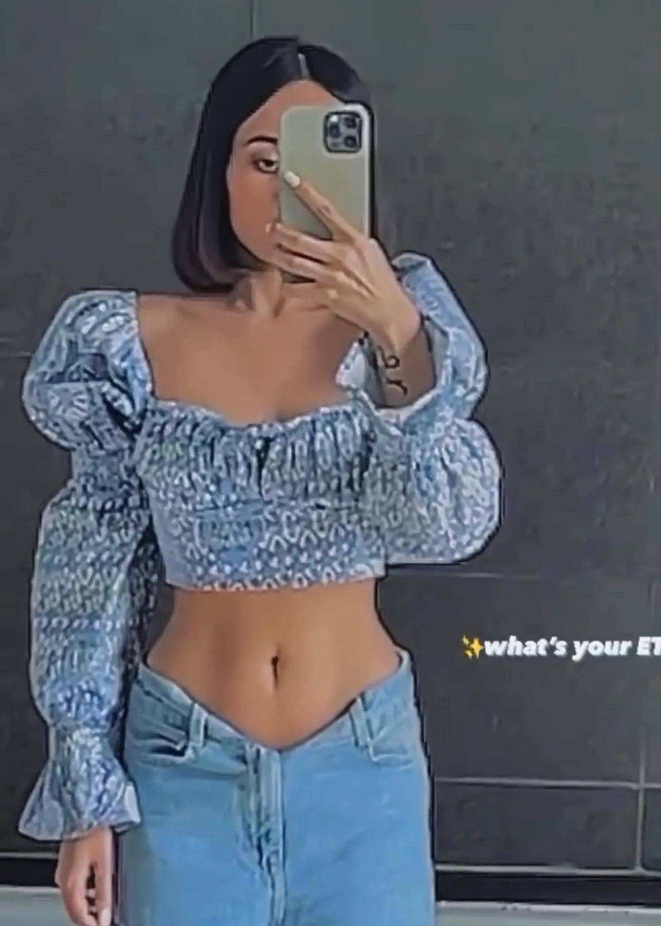 Calliope Puff Sleeve Crop Top CL